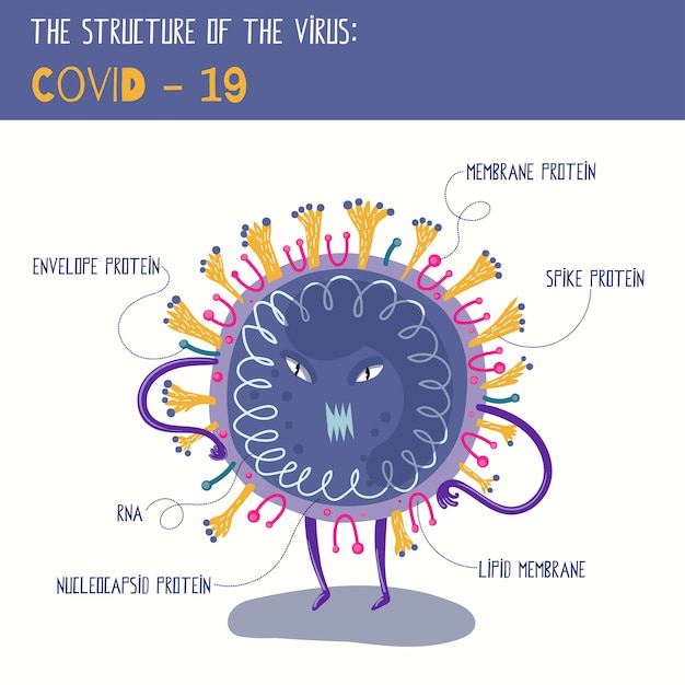 Estrutura do coronavirus em figura de fácil compreensão. ilustração de desenho vetorial