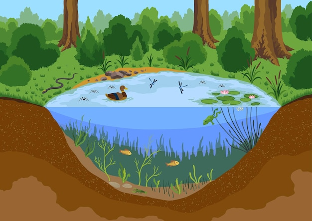 Estrutura do ecossistema de lago com diferentes animais no seu habitat natural