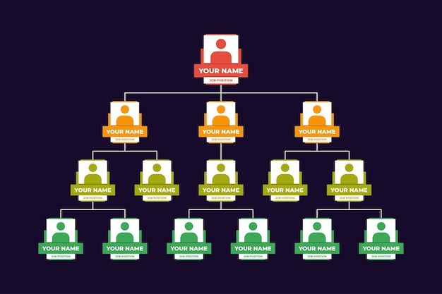 Vetor estrutura do organograma com foto