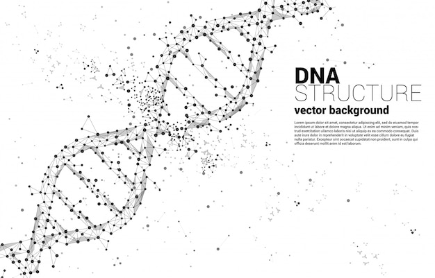 Estrutura genética de dna do ponto conectar polígono de linha. conceito de fundo para biotecnologia e biologia científica.