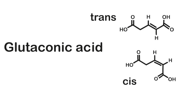 Estrutura química do ácido glutacônico.