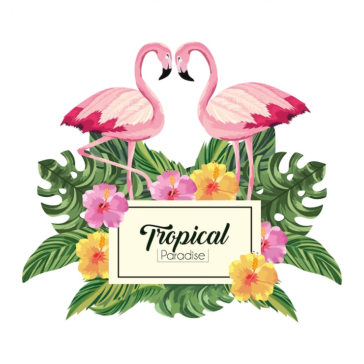 Vetor etiqueta com animais flamingos e folhas tropicais