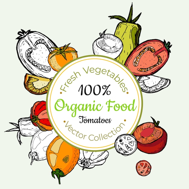Etiqueta vegetal do mantimento vegetal do tomate