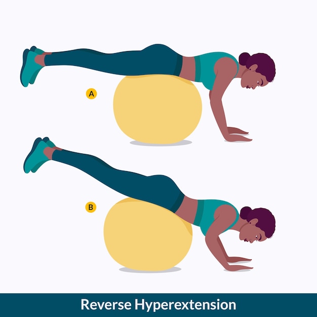 Vetor exercício de hiperextensão reversa, fitness de treino de mulher, aeróbico e exercícios.