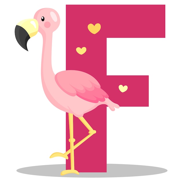 F para flamingo