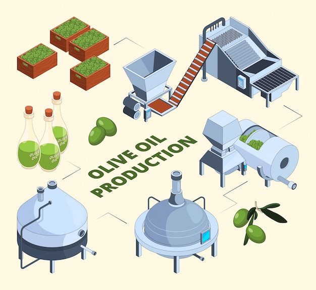 Fabricação de azeitonas. Processos de produção de petróleo planta indústria de prensas alimentares garrafas de centrífuga de tanque agrícola. imagens isométricas