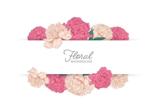 Faixa horizontal decorada com flores de peônia rosa em flor de jardim