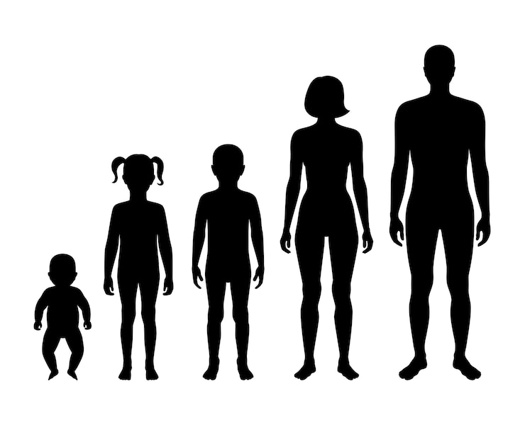 Vetor família silhueta homem e mulher
