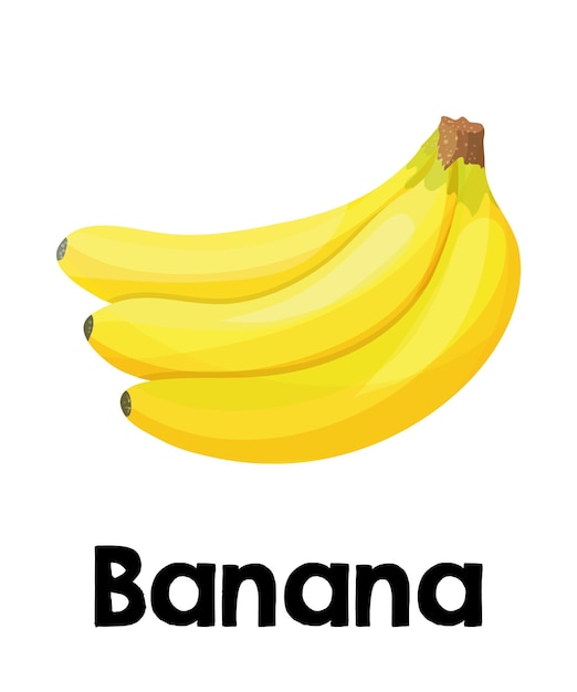 Vetor fantásticas frutas frescas banana