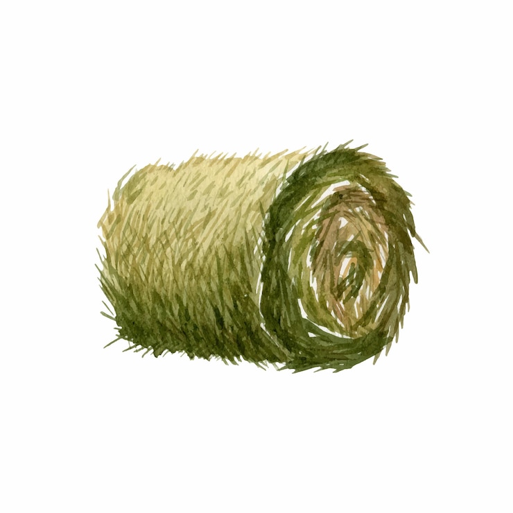 Vetor fardo de feno redondo isolado em um fundo branco ilustração em aquarela clipart vetorial