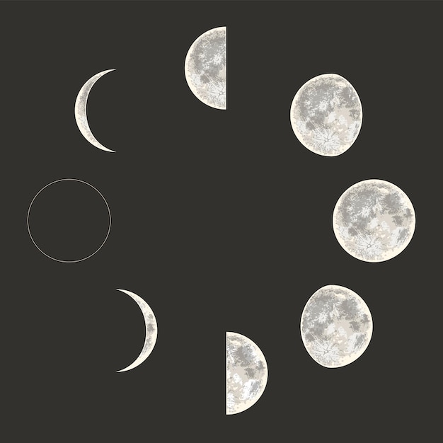 Vetor fases da lua ciclo completo estilo realista ilustração vetorial