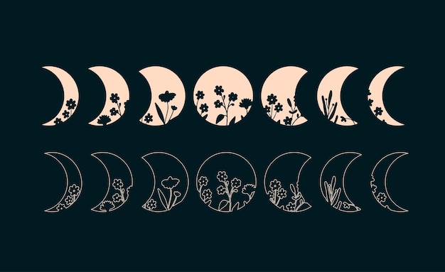 Vetor fases da lua com ilustração floral das fases da lua boêmia silhueta e contorno