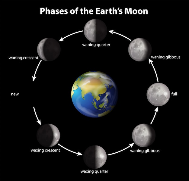 Fases da lua da terra