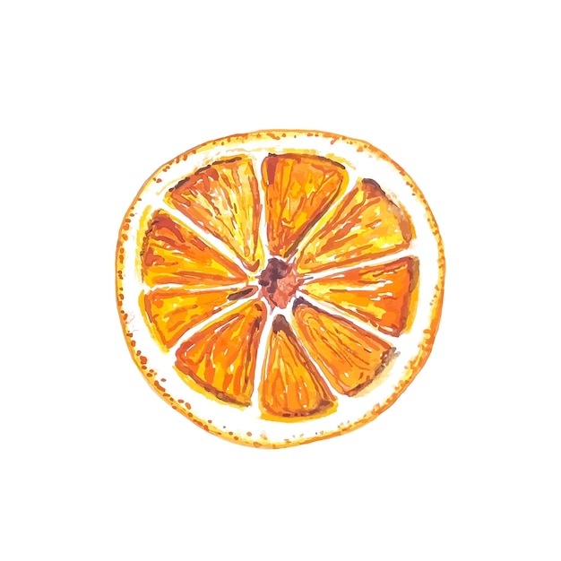 Fatia de aquarela de laranja seca para receita de adesivo desenhado à mão de vinho quente isolado