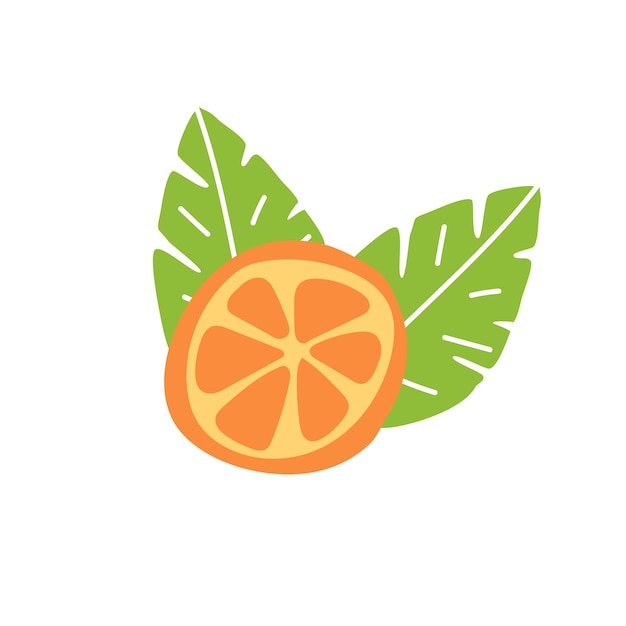 Fatia de fruta laranja e folhas Doodle ilustração vetorial desenhada à mão