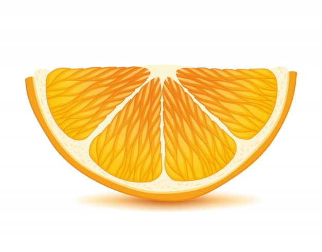 Vetor fatia de laranja. ilustração de citrinos suculenta.