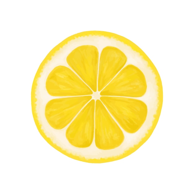 Fatia redonda de limão Ilustração realista vetorial isolada no fundo branco Clipart de ícone de eps de limão