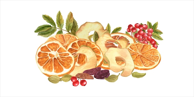 Fatias de frutas secas passas bagas vermelhas cardamomo e folhas de rowan pilha aquarela ilustração natural sweeet batatas fritas de maçã laranja cunhas alimentos saudáveis ingredientes para sobremesas de outono bebidas