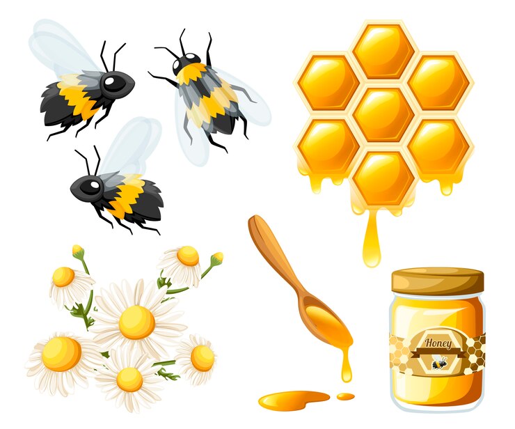 Vetor favo de mel com gotas de mel. doce mel com flores e abelhas. recipiente para mel e colher. logotipo para loja ou padaria. ilustração em fundo branco