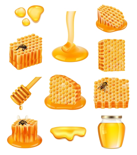 Vetor favo de mel realista células de cera de abelha com nutrientes de açúcar saudáveis coleção de imagens vetoriais decentes ilustração de favo de mel e cera de abelha
