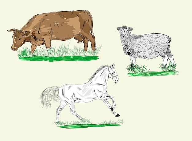 Vetor fazenda, agricultura, animais - desenho colorido