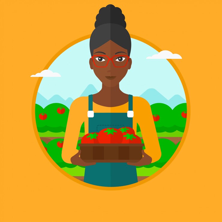 Vetor fazendeiro que recolhe a ilustração do vetor dos tomates.