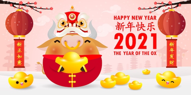 Feliz ano novo chinês 2021, pequena dança do boi e do leão segurando lingotes de ouro chineses, o ano do zodíaco boi, vaca fofa Calendário de desenho animado isolado, Tradução Feliz ano novo chinês