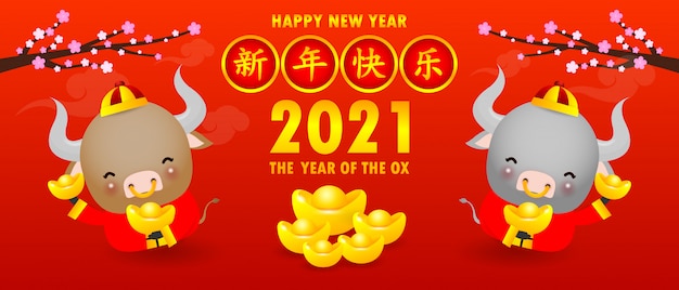 Feliz ano novo chinês, o ano do zodíaco boi