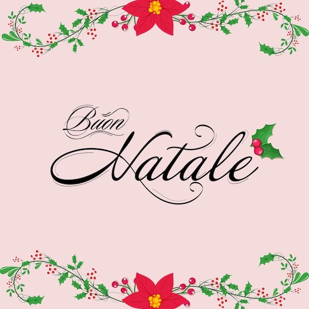 Feliz natal caligrafia no idioma italiano com holly berries e flores poinsettia em fundo rosa.