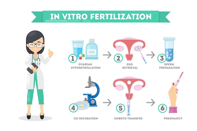 Vetor fertilização in vitro cientista feminina com infográfico