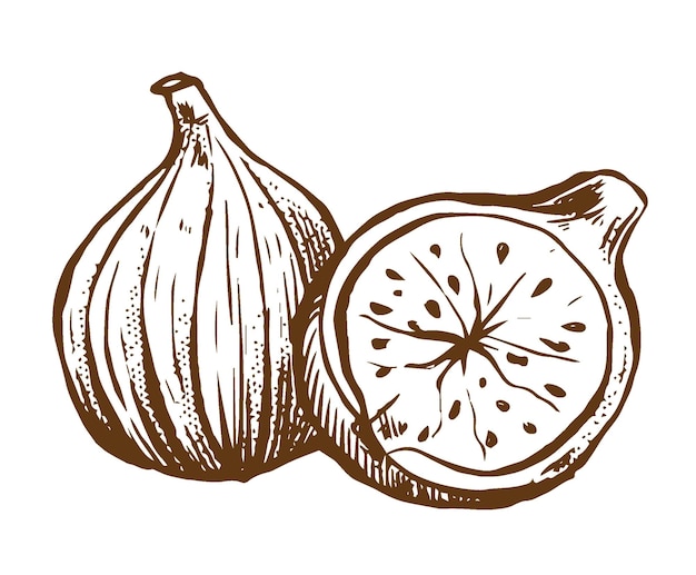 Figs01