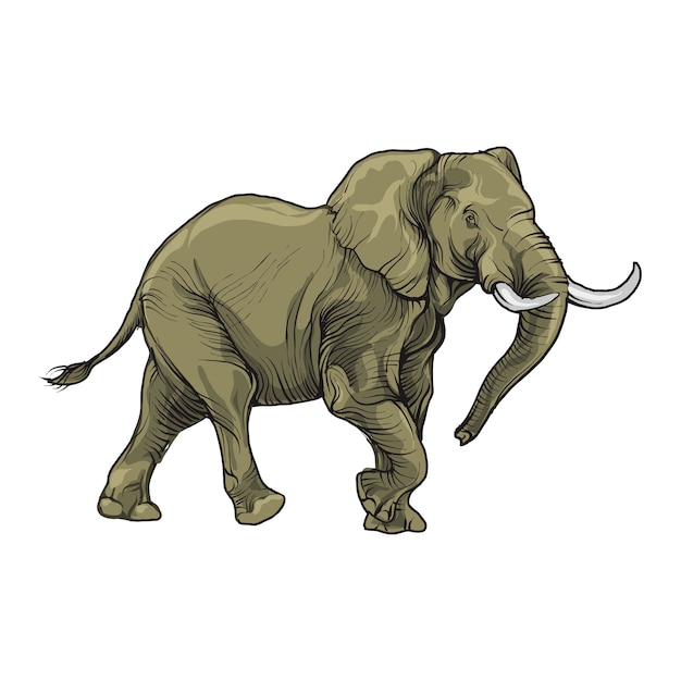 Figura de elefante isolada.