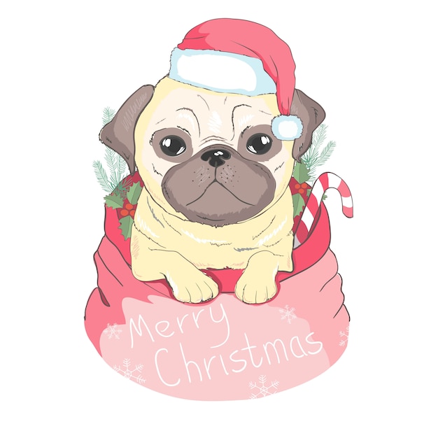 Filhote de cachorro bonito em um chapéu de Papai Noel e cachecol. Ilustração vetorial Cão de raça. Cartão de feliz Natal