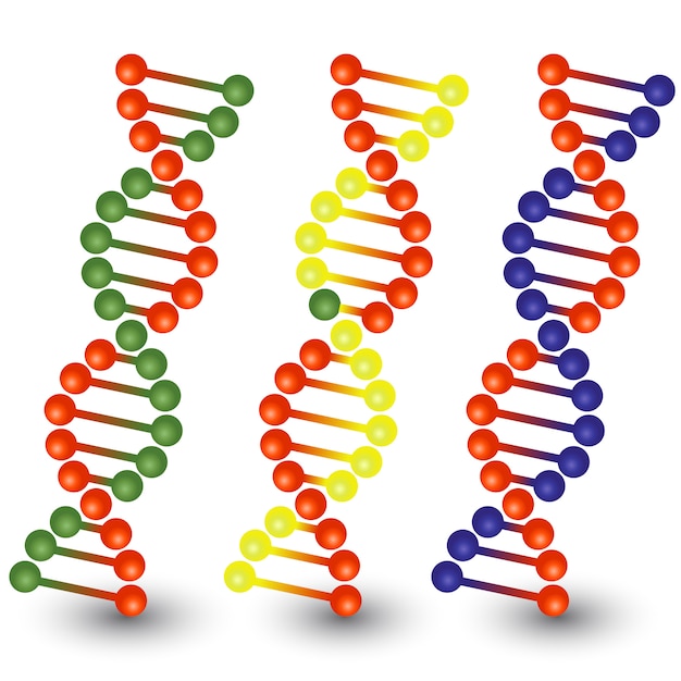 Vetor fios de dna sem costura.