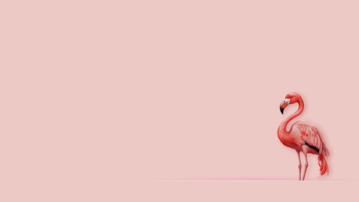 Vetor flamengo rosa isolado em fundo rosa modelo de cartaz web de banner de festa em estilo de corte de papel
