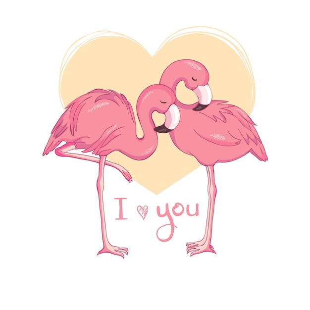 Flamingo bird illustration design