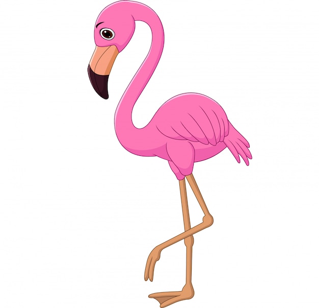 Flamingo dos desenhos animados em branco