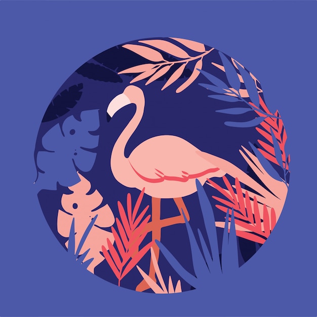 Flamingo, ilustração de horário de verão