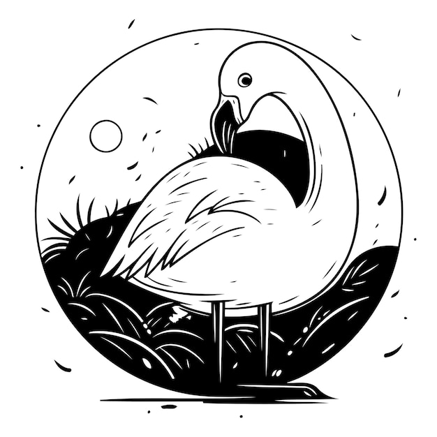 Vetor flamingo ilustração vetorial desenhada à mão em estilo de quadrinhos