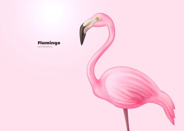 Flamingo rosa realista