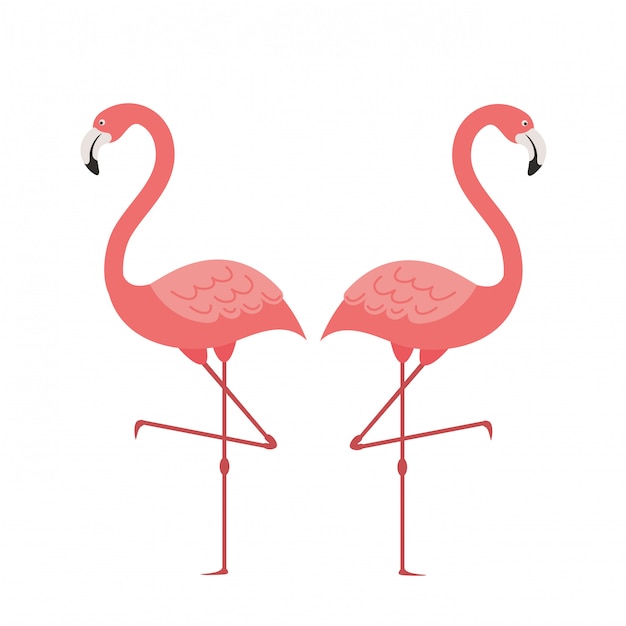 Vetor flamingo rosa