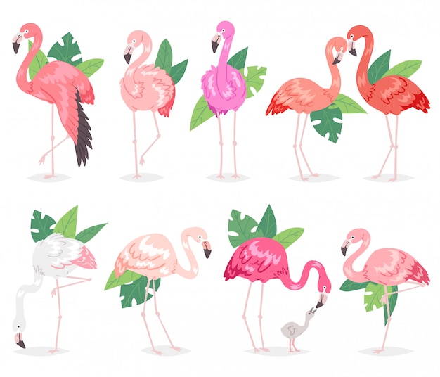 Vetor flamingo tropical rosa flamingos e pássaro exótico com palm folhas conjunto de ilustração de passarinho da moda nos trópicos em branco