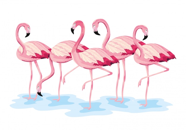 Flamingos tropicais animais selvagens exóticos