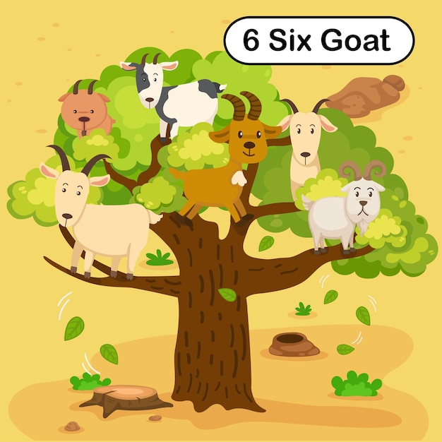 Flashcard número seis com 6 cabras aprendendo para vetor de ilustração infantil