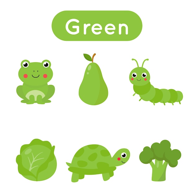 Flashcards para aprender cores. Cor verde. Planilha educacional para crianças em idade pré-escolar. Conjunto de fotos em cor verde.