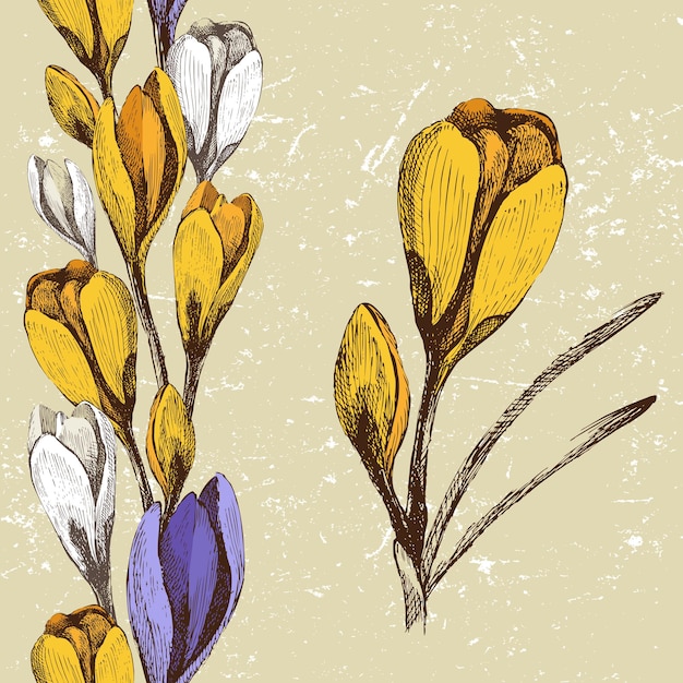 Flor de açafrão e borda sem costura de flores de açafrão em estilo retrô