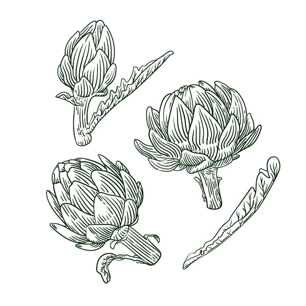 Couve-flor. Desenho Vegetal. Cone Simples De Cor. Ilustração De Doodle  Vector Mão Desenhada Royalty Free SVG, Cliparts, Vetores, e Ilustrações  Stock. Image 171101230