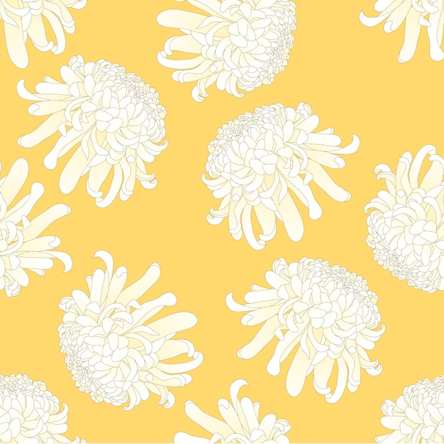 Vetor flor de crisântemo branco sobre fundo amarelo