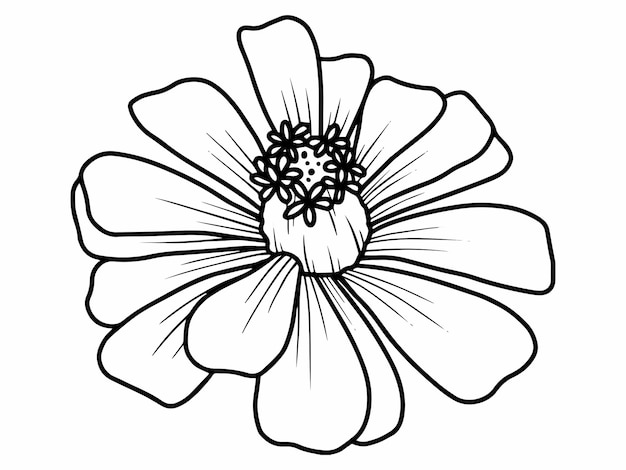 Flor de desenho e esboço de mão com arte de linha