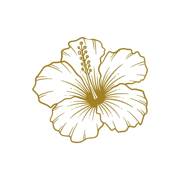 Vetor flor de hibisco desenhada à mão ilustração em vetor arte de linha de flor de hibisco